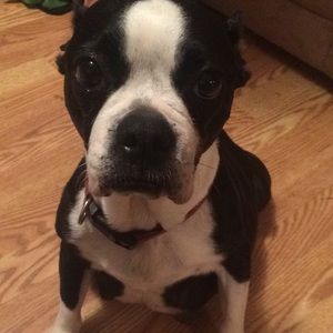 Meet your Posher, Samantha